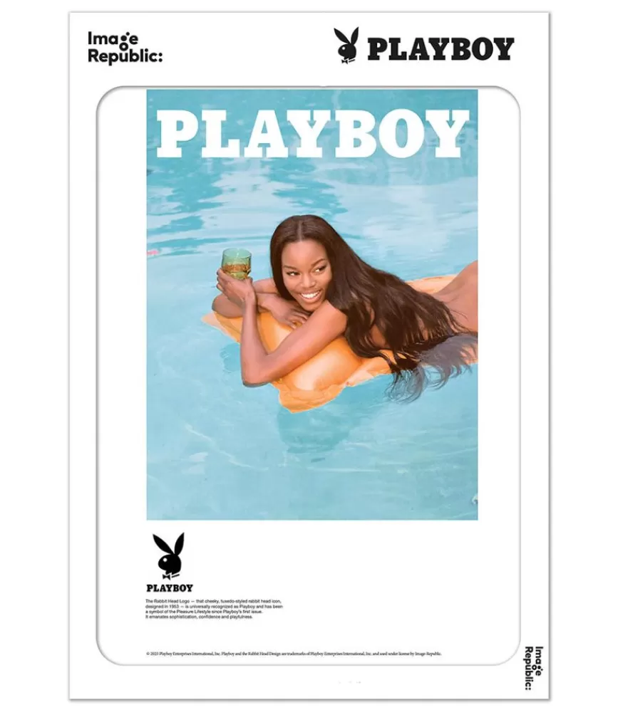 Image Republic Affiche Playboy Couverture Juin 2016 56 X 76 Cm