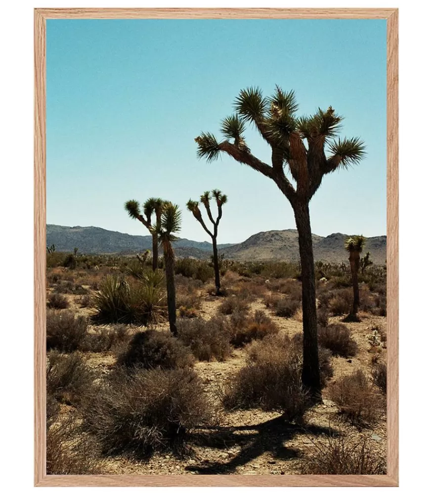 Lola James Harper Tableau Avec Cadre "Joshua Tree" 30X40Cm