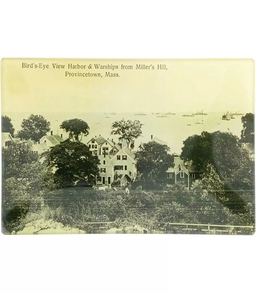 John Derian Vide-Poches Vintage "Bird'S Eye View"